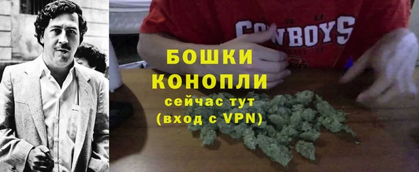 СК Богородск