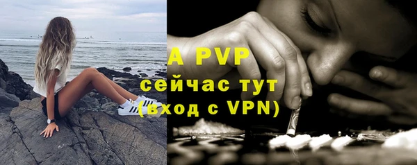 ГАЛЛЮЦИНОГЕННЫЕ ГРИБЫ Богданович