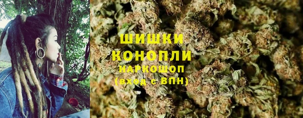 ГАЛЛЮЦИНОГЕННЫЕ ГРИБЫ Богданович