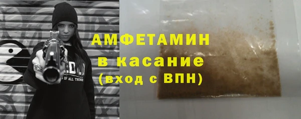 ГАЛЛЮЦИНОГЕННЫЕ ГРИБЫ Богданович