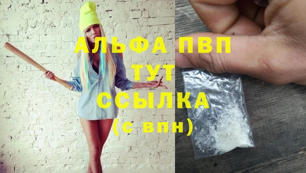ГАЛЛЮЦИНОГЕННЫЕ ГРИБЫ Богданович