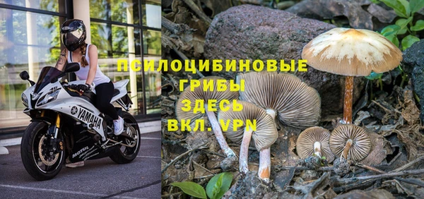 ГАЛЛЮЦИНОГЕННЫЕ ГРИБЫ Богданович