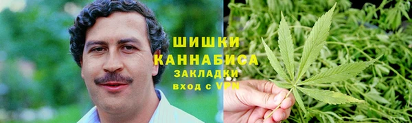СК Богородск