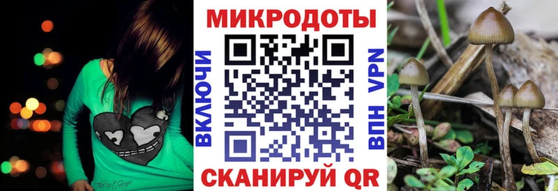 Псилоцибиновые грибы мухоморы  Мезень 